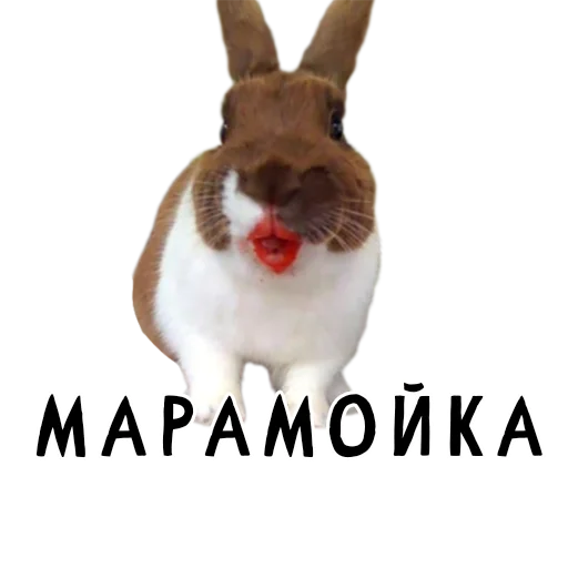 Эмодзи Гнилые кролики
