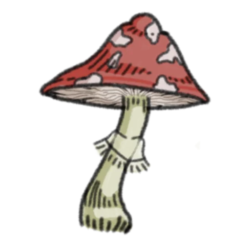 🍄