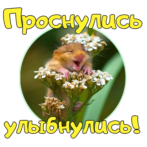 Эмодзи Доброе УТРО