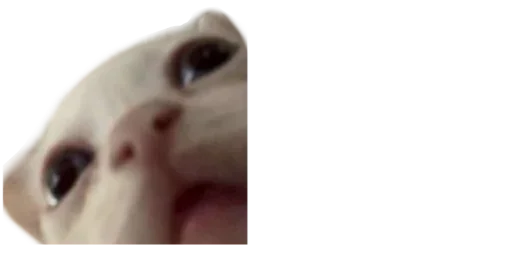 Эмодзи Cats | Котики