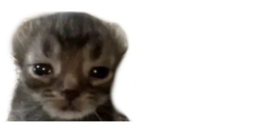 Эмодзи Cats | Котики