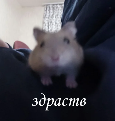 ?