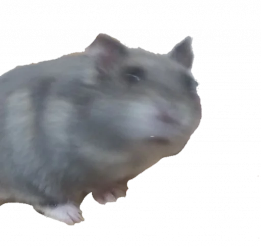 Эмодзи Гошик
