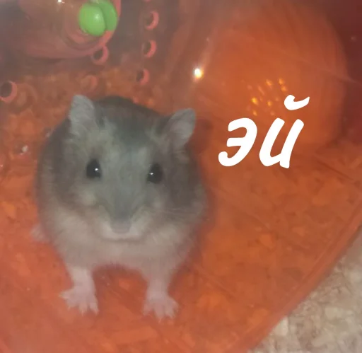 Эмодзи Гошик