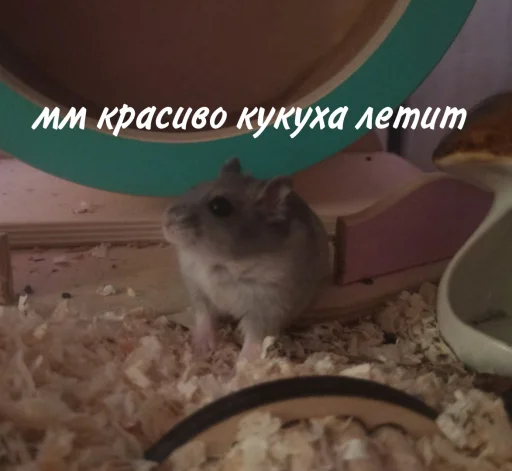 Эмодзи Гошик