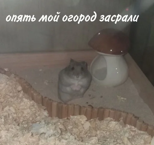 Эмодзи Гошик