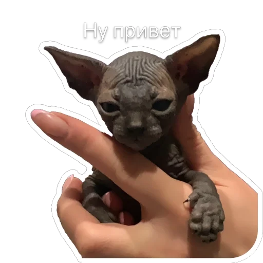 Эмодзи Гостецкий