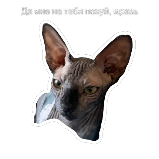 Эмодзи Гостецкий