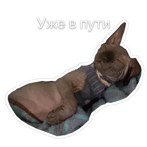 Эмодзи Гостецкий