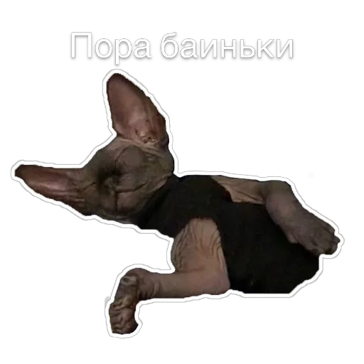 Эмодзи Гостецкий