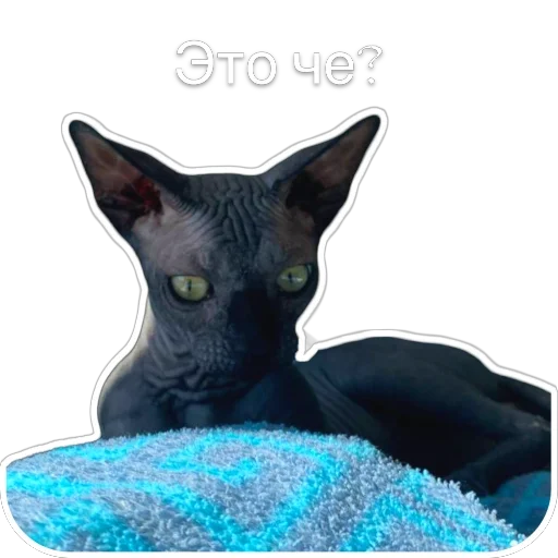 Эмодзи Гостецкий