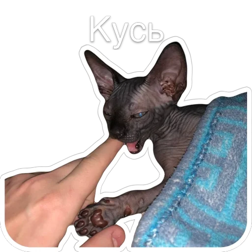 Эмодзи Гостецкий