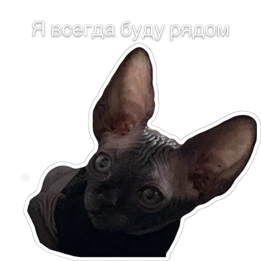 Эмодзи Гостецкий