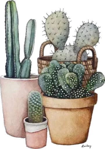 Эмодзи Green Cactus