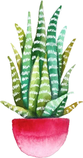Эмодзи Green Cactus