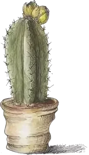 Эмодзи Green Cactus