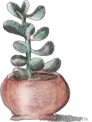 Эмодзи Green Cactus