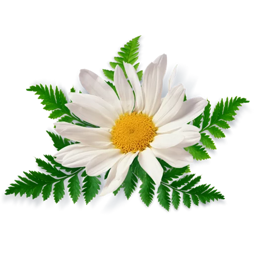 Эмодзи Цветы