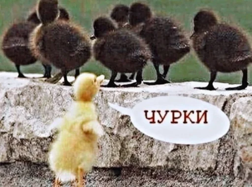 Эмодзи недындра