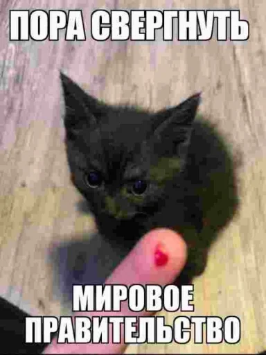 Эмодзи недындра