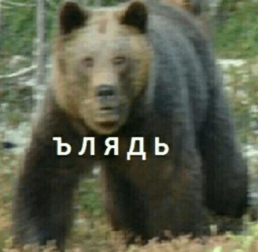 Эмодзи Memes | Мемы