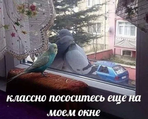 Эмодзи Memes | Мемы