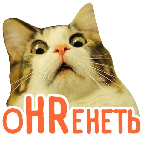 ?