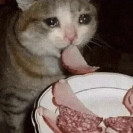 Эмодзи Hagh Pack Cat