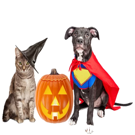 Эмодзи Halloween