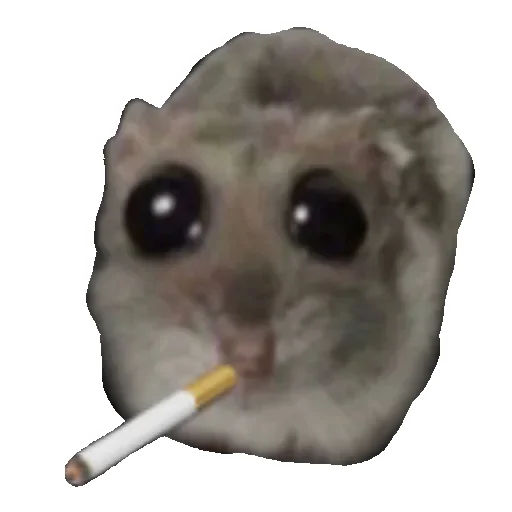 🚬