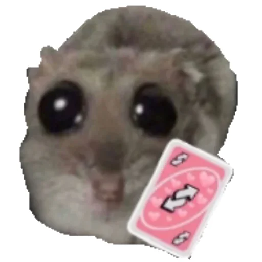 Эмодзи Hamster