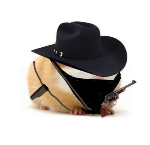 Эмодзи ХоМяЧиЙ дВиЖ