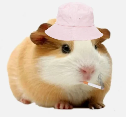 Эмодзи ХоМяЧиЙ дВиЖ