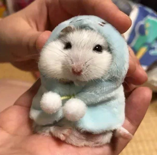 Эмодзи Hamster Kiana