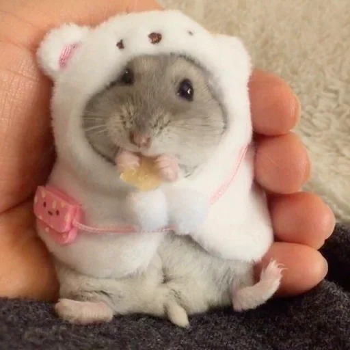 Эмодзи Hamster Kiana