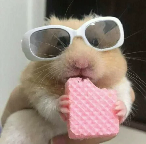 Эмодзи Hamster Kiana