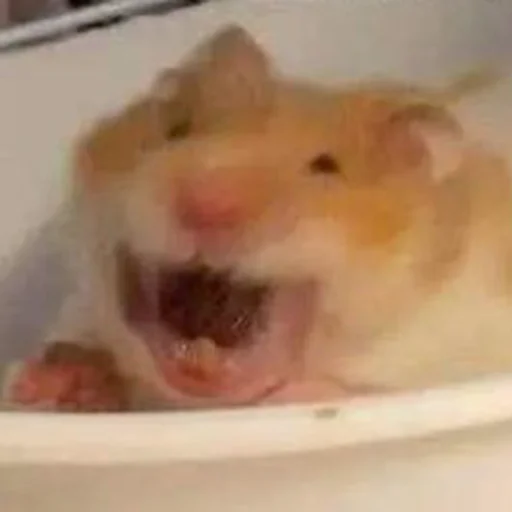 Эмодзи Hamsters