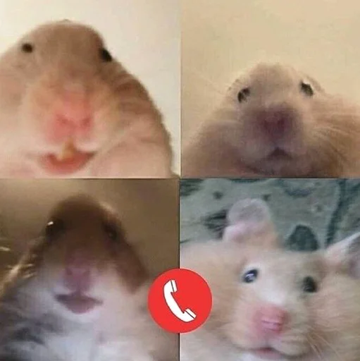 Эмодзи Hamsters