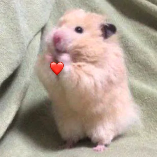 Эмодзи Hamsters