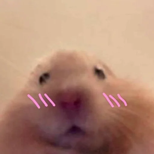 Эмодзи Hamsters