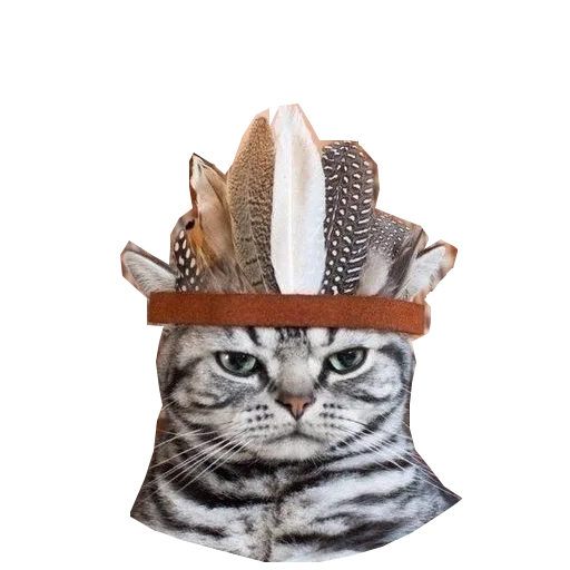 Эмодзи Cats in hats