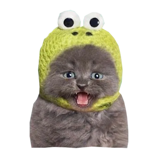 Эмодзи Cats in hats