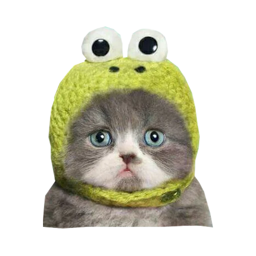 Эмодзи Cats in hats