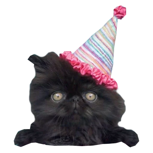 Эмодзи Cats in hats