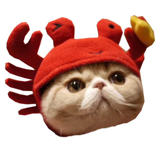 Эмодзи Cats in hats