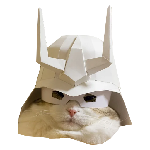 Эмодзи Cats in hats