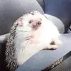 😊