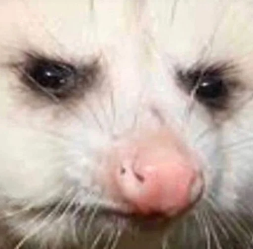 Эмодзи Hehehehehehehehe