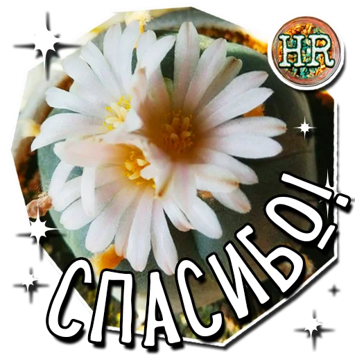 Эмодзи HempRoom?