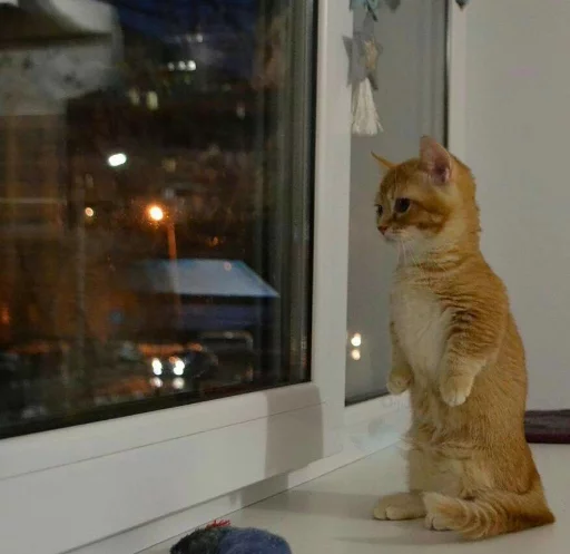 Эмодзи High Horizon 2